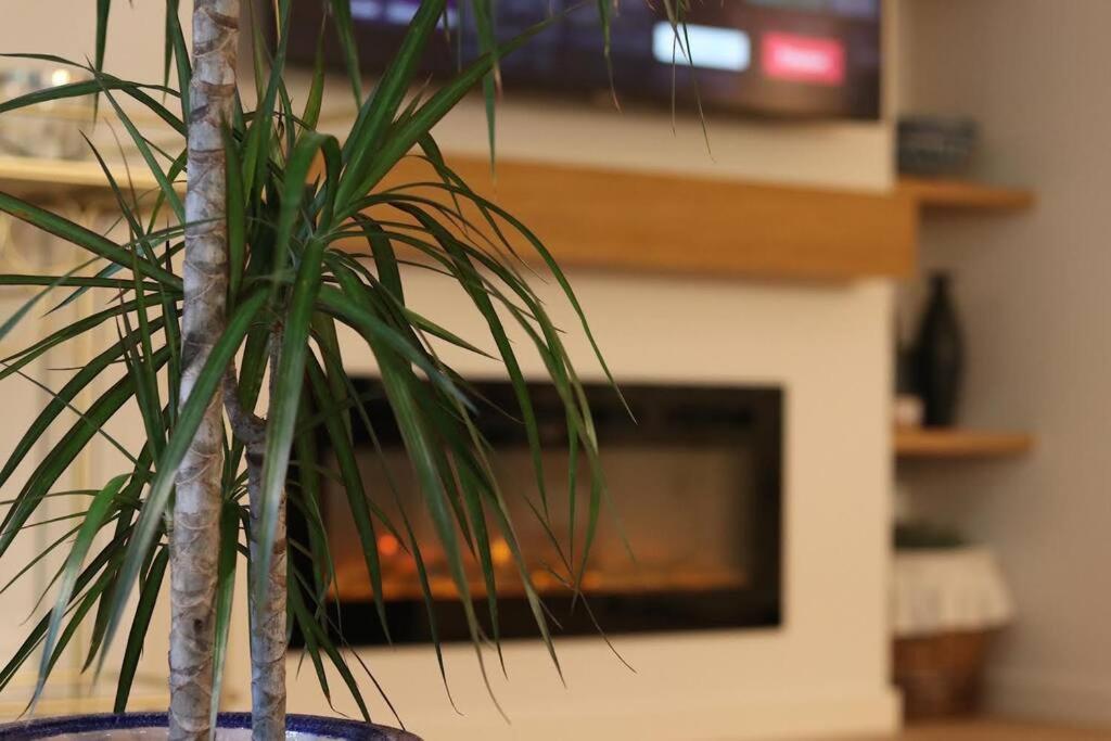 Lc Apartaments Voramar Benicassim Ngoại thất bức ảnh